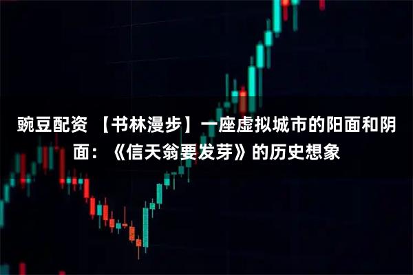 豌豆配资 【书林漫步】一座虚拟城市的阳面和阴面：《信天翁要发芽》的历史想象