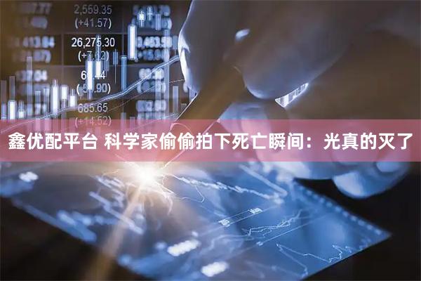 鑫优配平台 科学家偷偷拍下死亡瞬间:光真的灭了